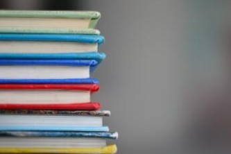 養(yǎng)寵助手:讓你的毛孩生活更精彩
